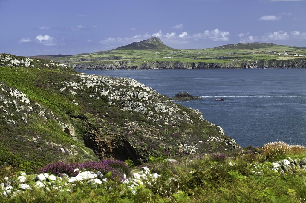 Pensjonat Penrhiw Priory St David's Zewnętrze zdjęcie